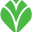 SEM CHEIRO logo